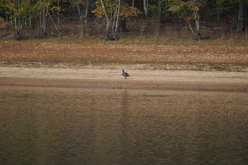 Quiet Day on the Beach