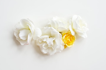 Decorative white and yellow bright roses and leaves on white background. Flat lay flowers. Frame wreath. Top view