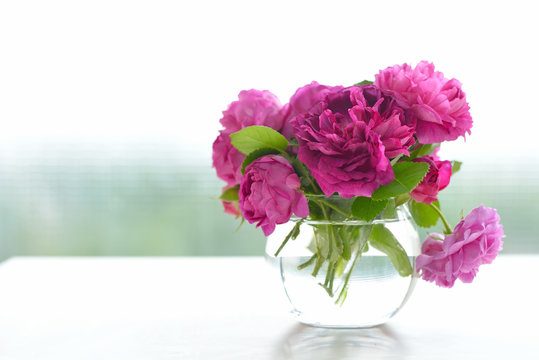 Beautiful bouquet of pink rose flowers in glass vase with green bokeh background