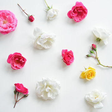 Assorted pink roses heads on white background. Roses and leaves scattered on a table, overhead view wallpaper. Flat lay, top view of flowers.