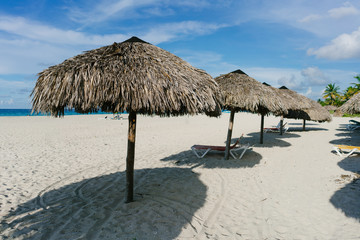 The most beautiful species in the Atlantic Ocean and beach in the resort of Varadero, Cuba
