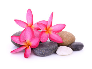 Fototapeta na wymiar stones with frangipani flower isolated on white