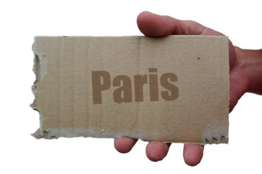 kartonst&uuml;ck ih paris I