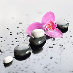 background of a spa with stones, and orchid flower