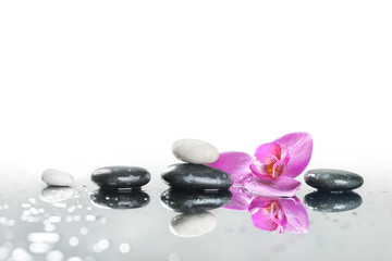 Fototapeta na wymiar background of a spa with stones, and orchid flower