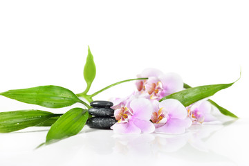 Background of a spa with stones, orchid flower and a sprig of green bamboo