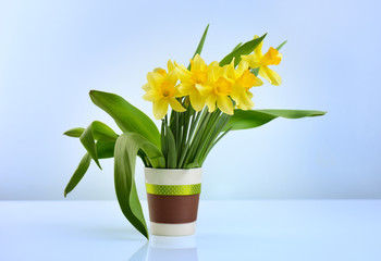 Spring daffodils flower pot. Fresh narcissus bouquet still life on blue background in vase.
