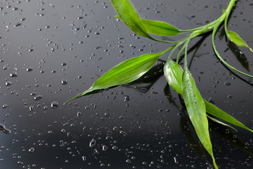 Wet bamboo leaves on black glass. Spa background