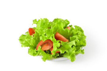 vegetable salad with tomatoes in plate