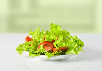 Salad with fresh tomatoes