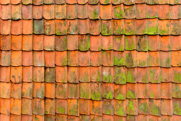 Moldy and mossy old roof tiles