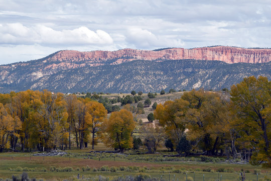 Autumn Trees Against Mountains