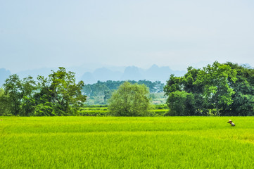 The beautiful rural scenery in summer season