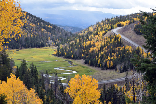 Highway in Fall Landscape