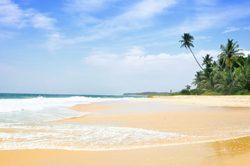 Tropical beach with palm trees, Sri Lanka