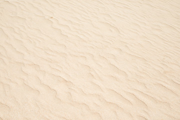 Wave sand texture