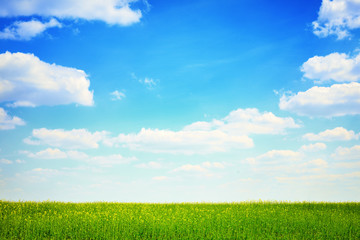 green field and blue sky landscape