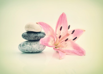 romantic background of a spa with stones and lily flower in pastel tones