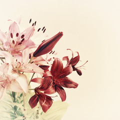 vintage lily flowers background