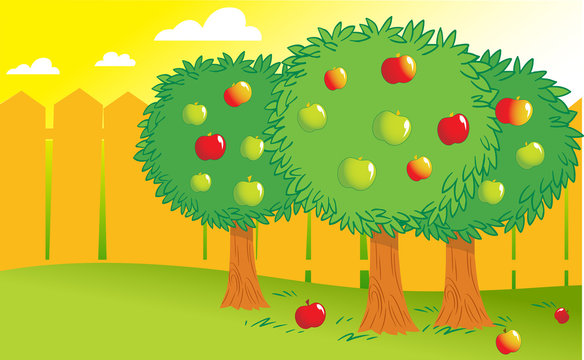 The illustration shows few apple trees in the garden behind the fence. Done in a cartoon style, on separate layers.