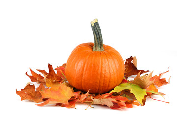 pumpkin and colorful foliage leaves isolated on white background