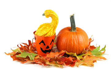 pumpkin, gourd, foliage leaves isolated on white background for Halloween decoration