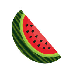 green and pink fresg watermelon fruit. healthy food natural. vector illustration