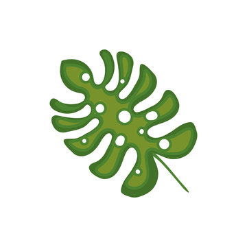 green palm leaf branch nature tropical plant. vector illustration