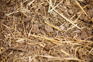 Cow manure texture background