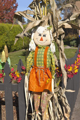 Fototapeta na wymiar Halloween decor harvest symbol.