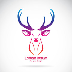Vector of an deer head on white background. Animal design.