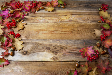Thanksgiving background with berries, acorn and fall oak leaves