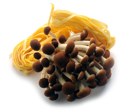 Nấm K&euml;rpudha Gljive սունկ Ciuperci Gomba Likaha Fungo Fungata Houby Piopparello Poplar mushroom Pioppini Pasta Hongos Funghi