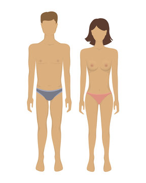 Vector female and male body.