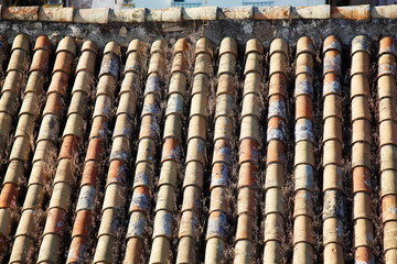 Monk and Nun Roof Tiles