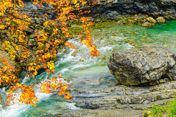 Autumn in mountain gorge. Ordesa National Park. Aragon Province. Spain