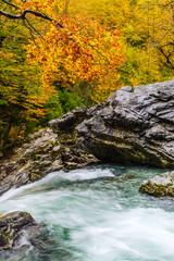 Autumn in mountain gorge. Ordesa National Park. Aragon Province. Spain