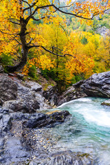 Fall River in a valley Ordesa. Aragon Province. Spain