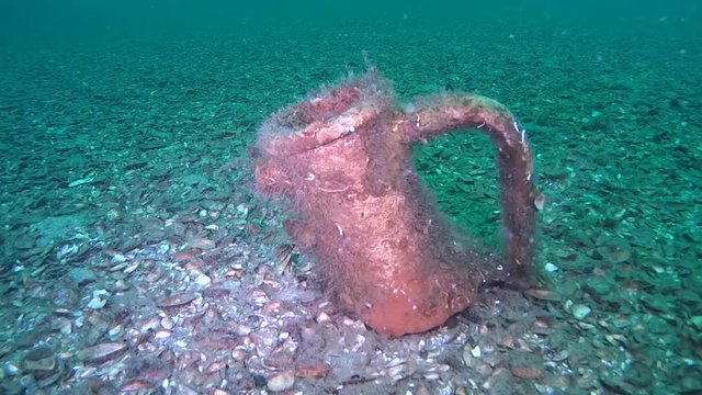 Retaken neck of the ancient Greek amphorae on the seabed.

