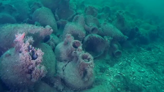 Greek ship wreck - a large concentration of amphorae.
