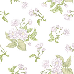 Floral seamless pattern with Chinese plum.