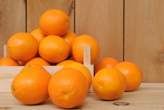 Navel Orange Fruit