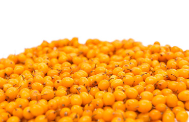 Sea-buckthorn berries