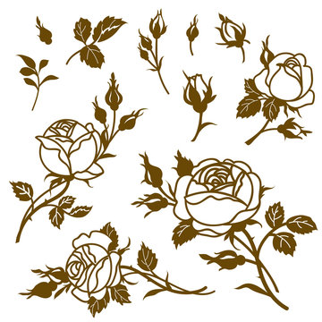 Decorative vintage branches of rose, bud and leaves for page decor. Fector floral elements
