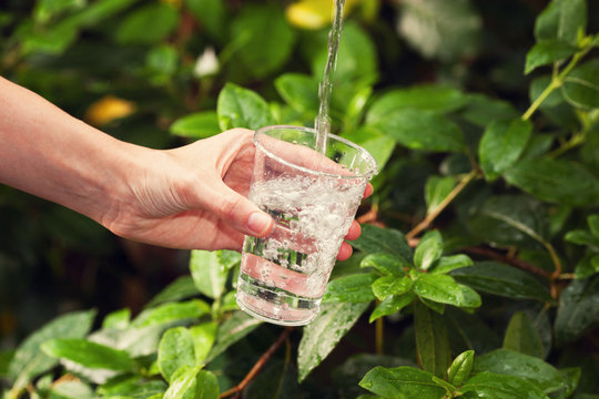 Drinking water. Young woman pouring a glass of water on a green leaves background.
