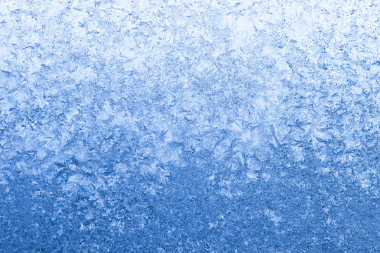 cold winter frost background