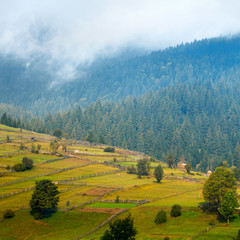 Beautiful autumn mountain landscape with mist and animal corral