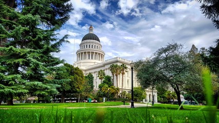 Obraz premium SummerSweep