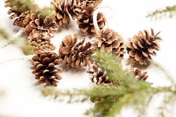 Accessories for celebrating Christmas isolated on white background, vintage color shade 