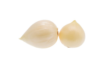 Garlic, Elephant garlic isolated on a white background.